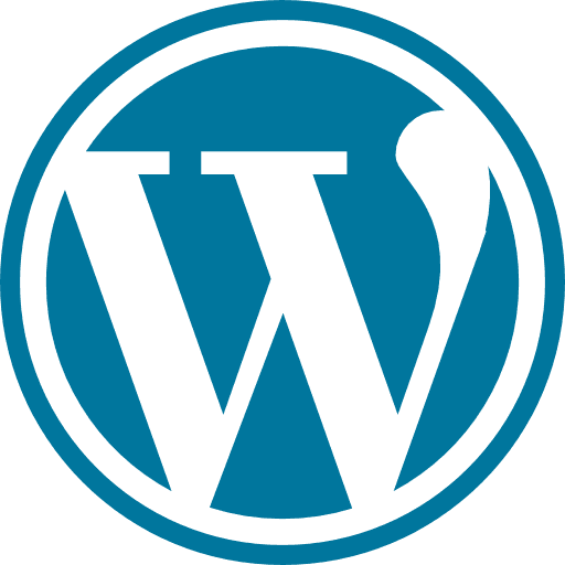 Ongoing WordPress Support